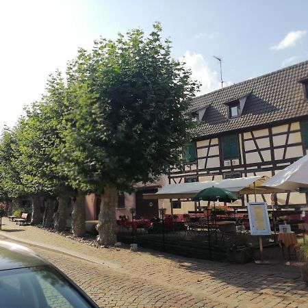 Gites Aux Fines Bulles D'Alsace Spa Privatif En Supplement Bergheim Dış mekan fotoğraf
